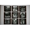 Photographies sur verre : Le Japon